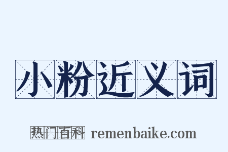 小粉近义词是什么意思的图片